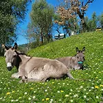 Fattoria Cristina Cozy Duplex With Pool, Animals & Panoramic Terrace Near Cinque Terre - Bilo