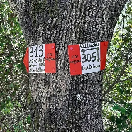 Fattoria Cristina - Bilo Apartmán Castelnuovo Magra