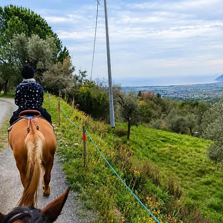 아파트 Fattoria Cristina Cozy Duplex With Pool, Animals & Panoramic Terrace Near Cinque Terre - Bilo *