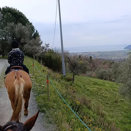 아파트 Fattoria Cristina Cozy Duplex With Pool, Animals & Panoramic Terrace Near Cinque Terre - Bilo 카스텔누보디마르가