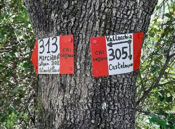 Fattoria Cristina - Bilo Apartment Castelnuovo Magra